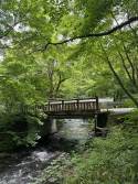 目には青葉　山ほととぎす　初鰹（軽井沢）