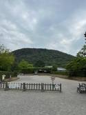 よさこいからの→うどん県